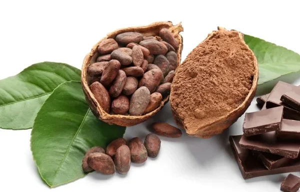 kakao najbolji prirodni lek