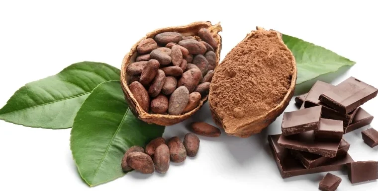 kakao najbolji prirodni lek