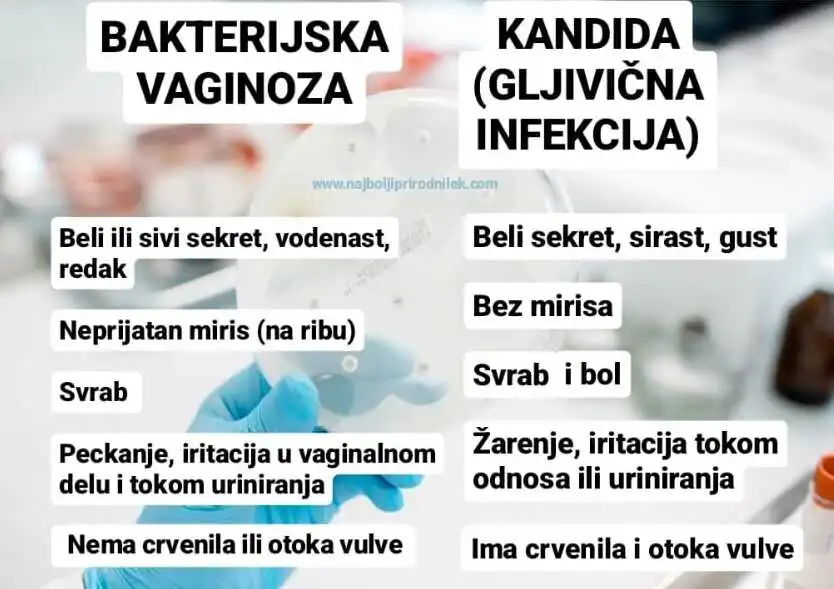 kandida kandidijaza gljivicne infekcije bakterijska vaginoza