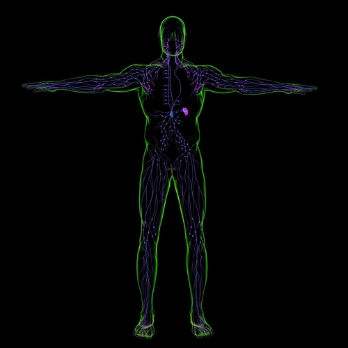 limfni sistem uzrok zapusen aktivirati limfni sistem